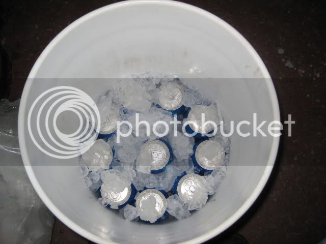 IMG_3557.jpg