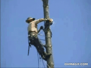 tree-logging-fail.gif