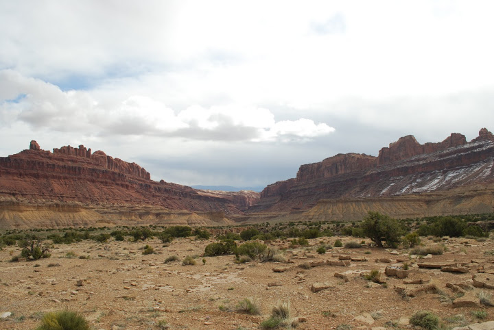 DSC_1410.JPG