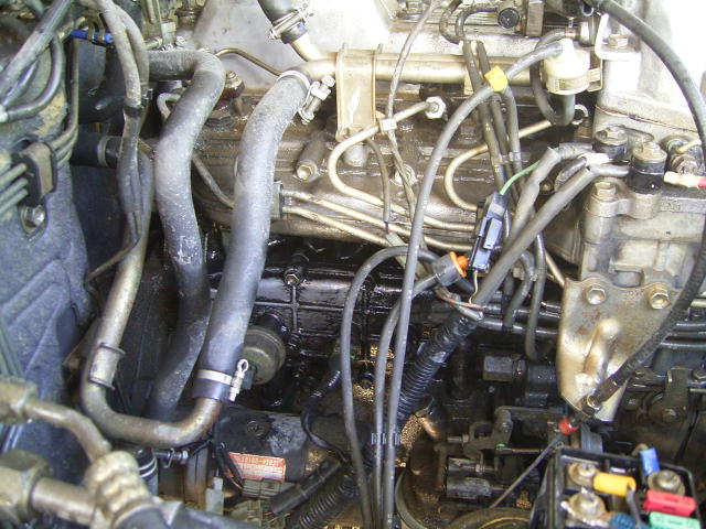 RIMG0364.jpg