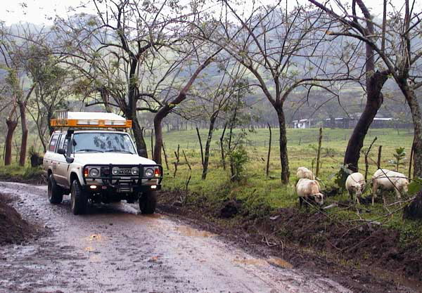 Sandcruiser - Sandy 1.jpg