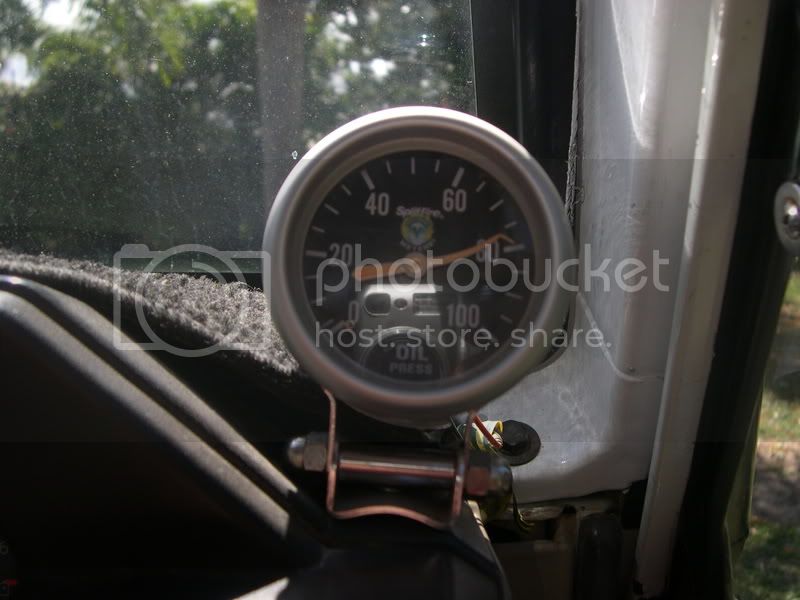 rainforrest067.jpg