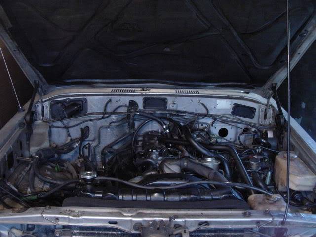 87_2f.jpg