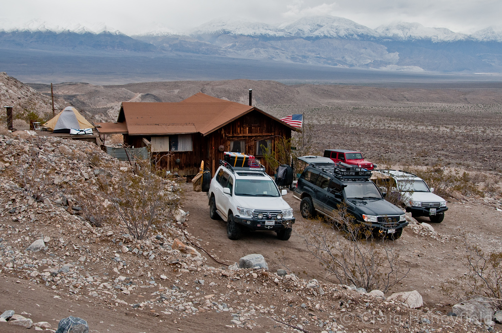 DSC_9371-XL.jpg
