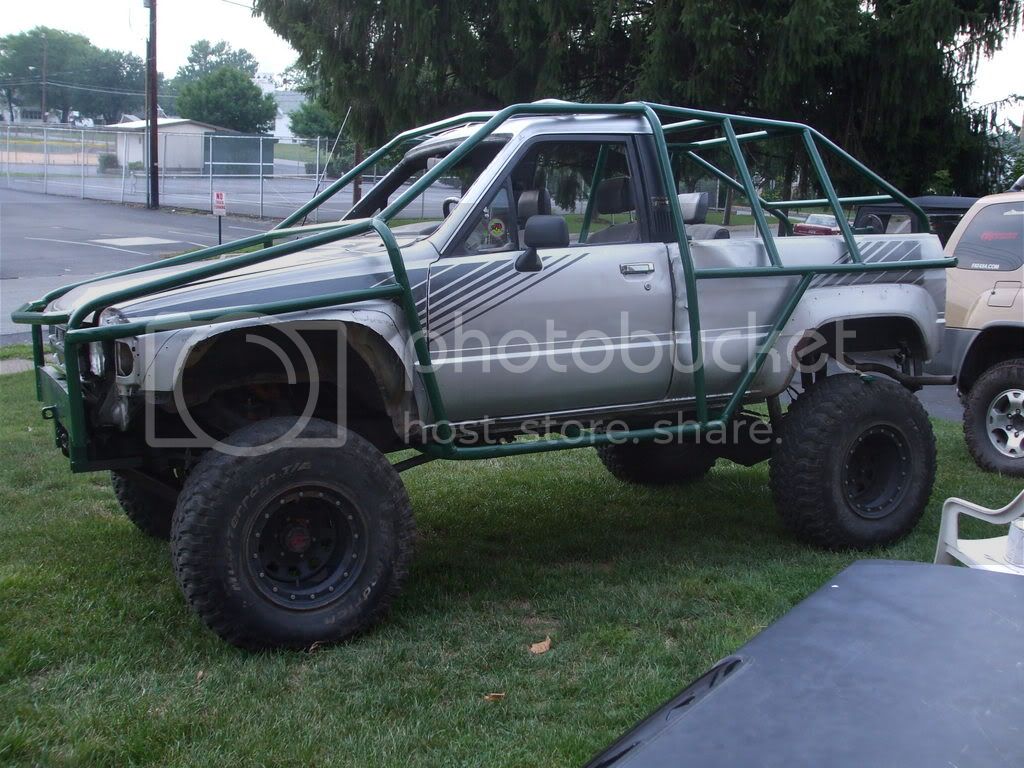 grasshopper003.jpg