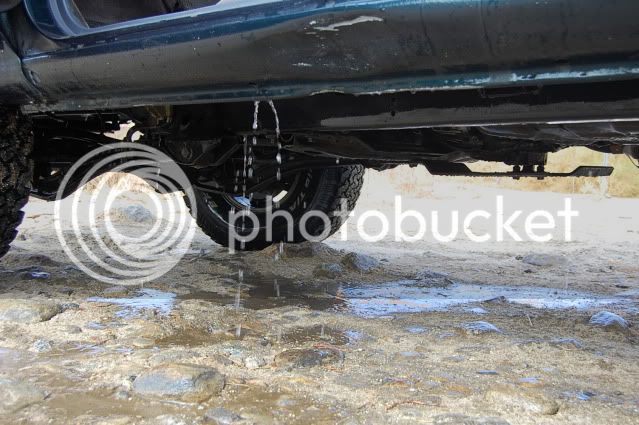 DSC_3552.jpg