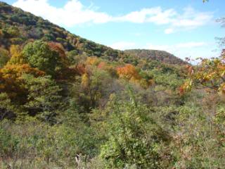 DSC008251.jpg