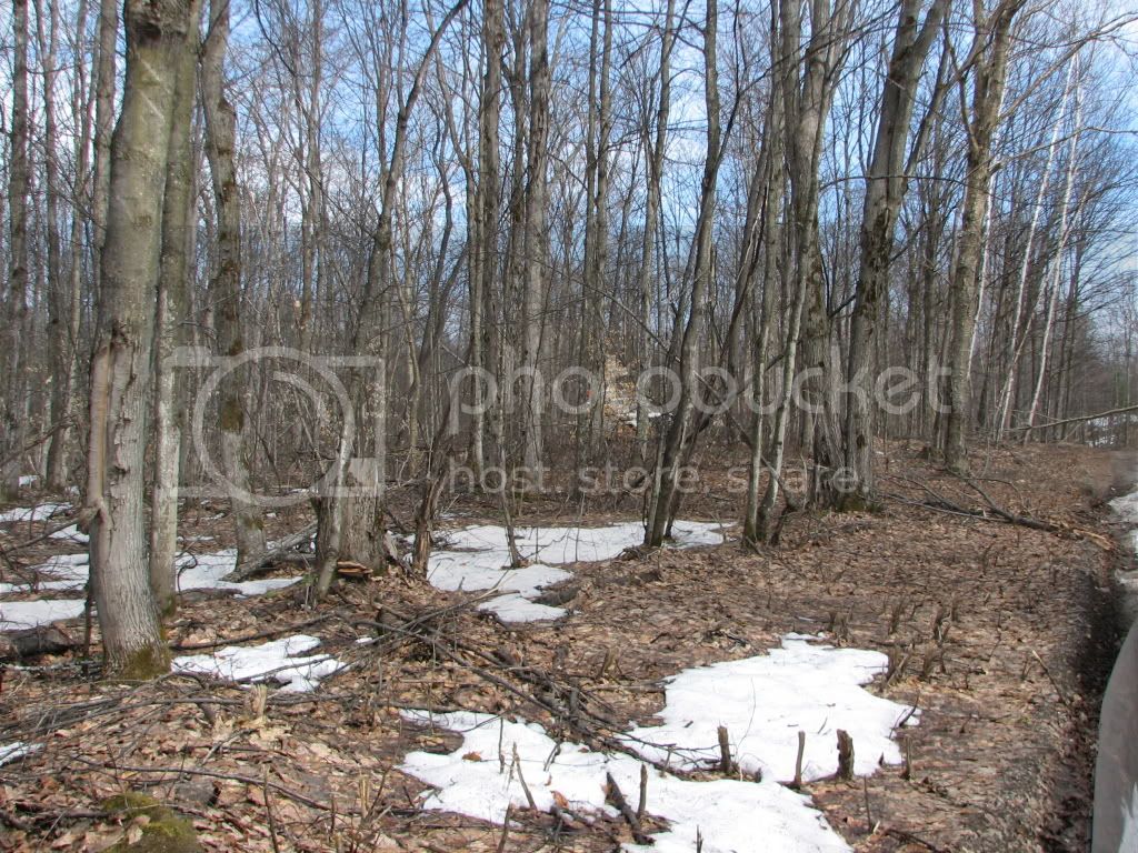 IMG_4908.jpg