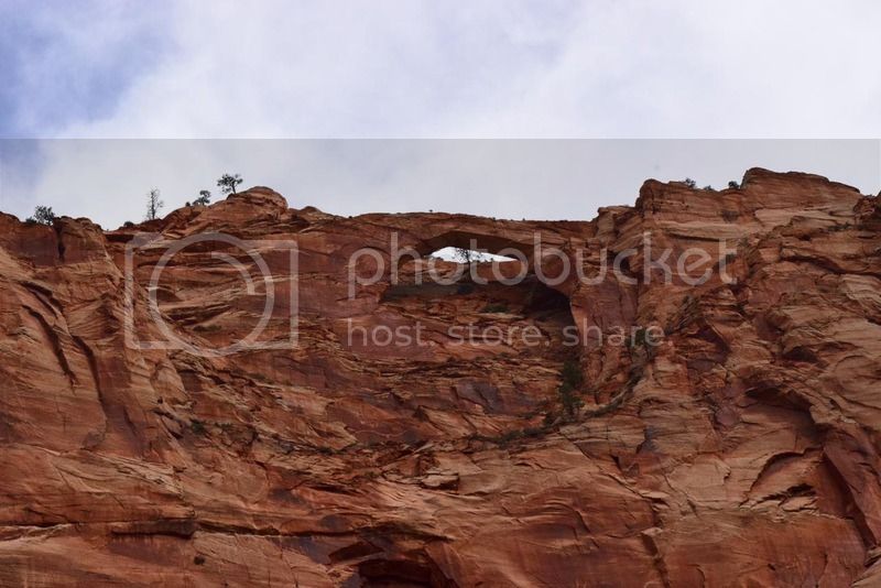 DSC_0474.jpg