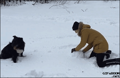 CuFO2FB.gif
