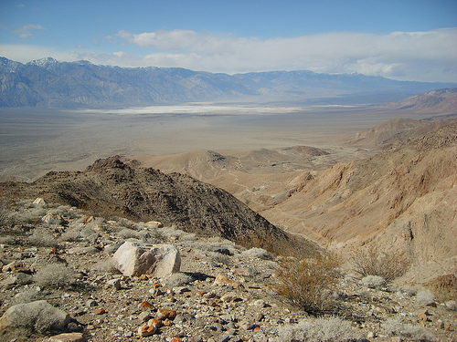 4472167495_87dfd95977.jpg