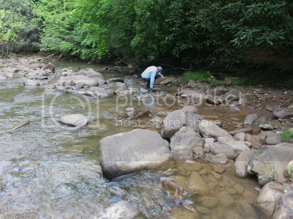 20130517_152012_zps846f0f22.jpg