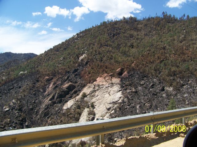normal_100_7549.jpg
