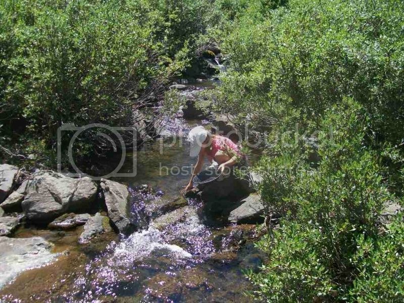 100_4863.jpg