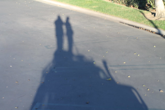 8332919656_ede4f6c88b_z.jpg