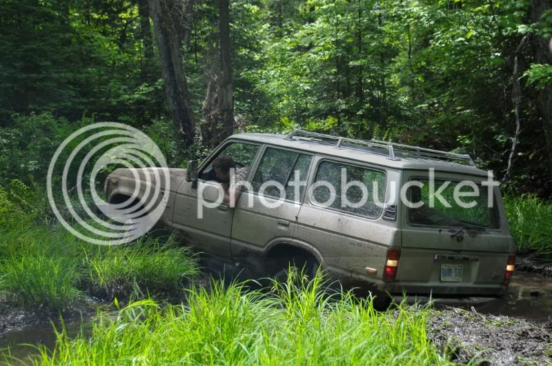DSC_5374.jpg