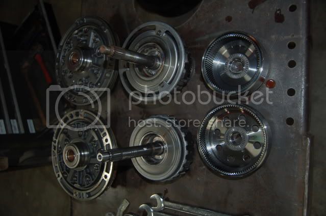 DSC_8113.jpg