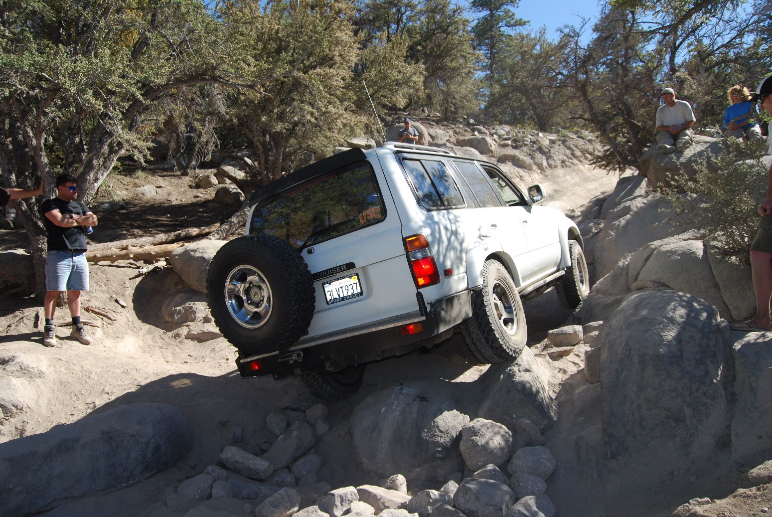 BigBear751.jpg