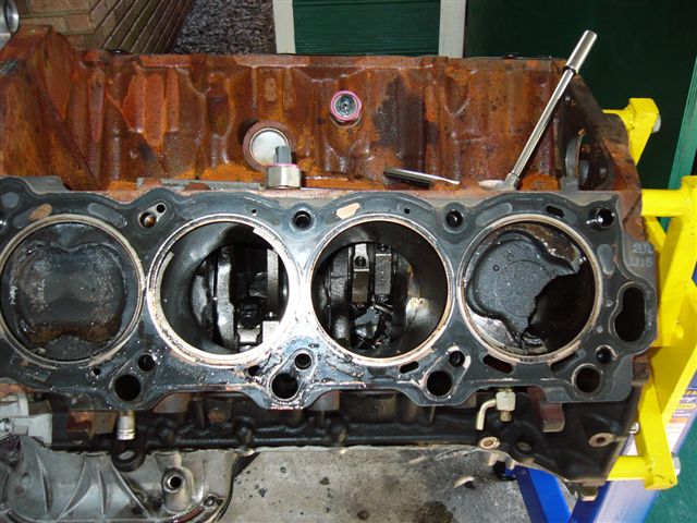 P1010233.JPG