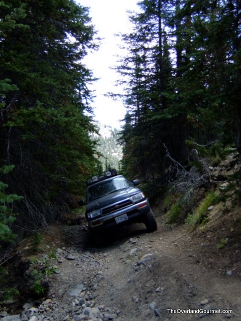 DSCF2603.JPG