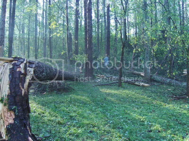 Tornado08010.jpg