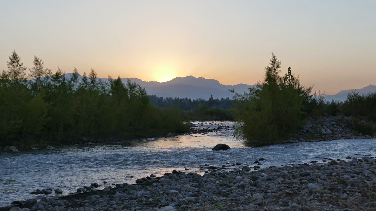 P1070150.JPG