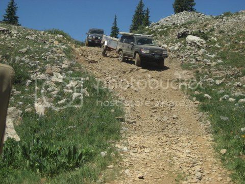 IMG_4800.jpg