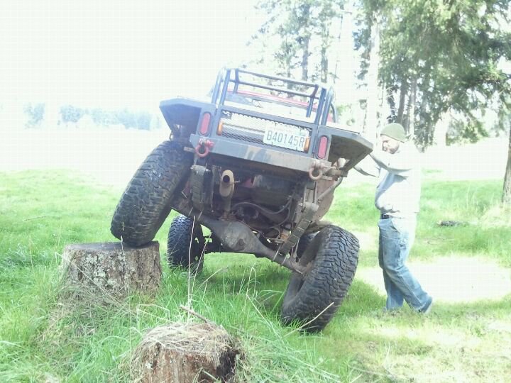 4_2011_stump.jpg
