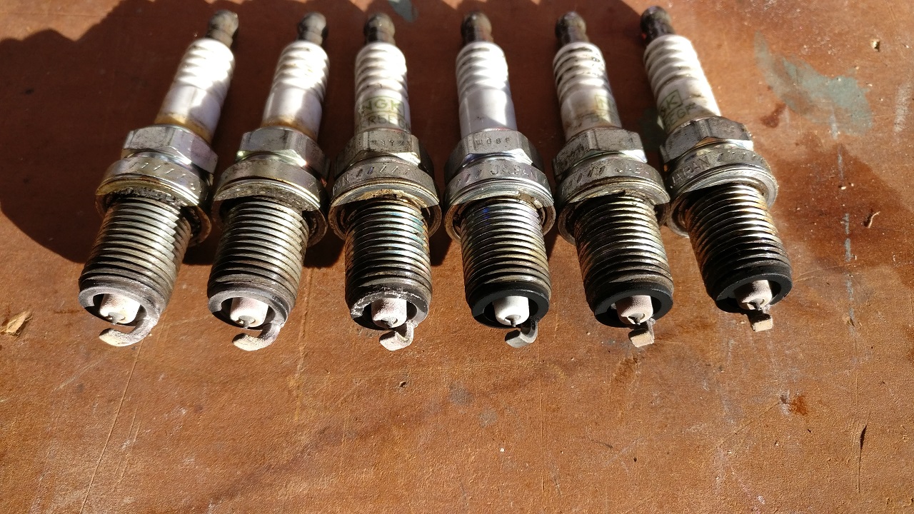 plugs.jpg