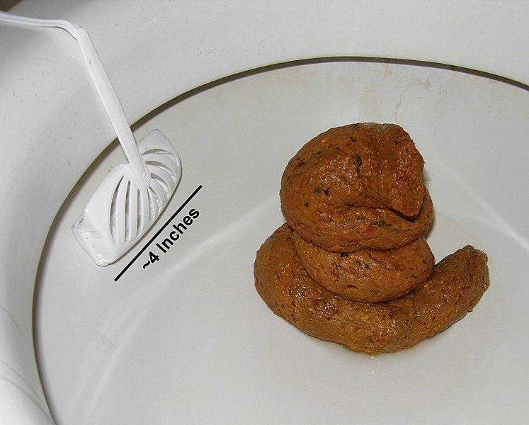 747px-Human_Feces.jpg