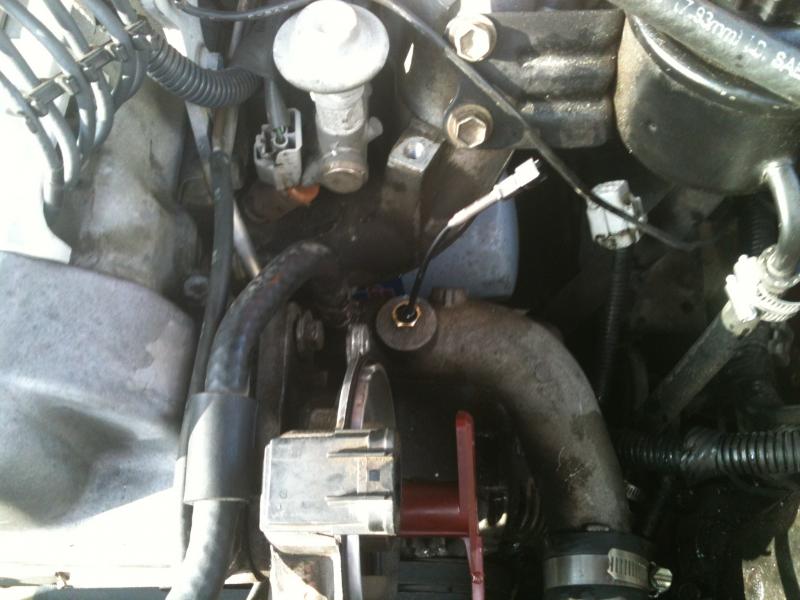 Picture_002.jpg