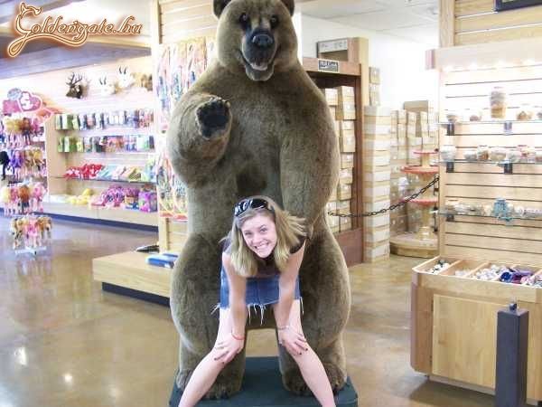 1zdile_Tell_them_Pedo_Bear_says_hi-s600x450-10926.jpg