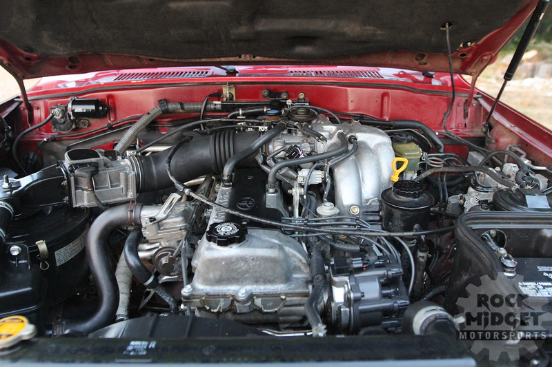 IMG2507-L.jpg