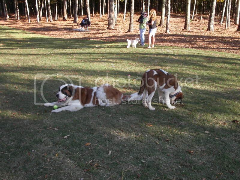 PICT0018.jpg