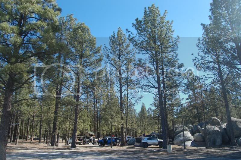 Bajatrip016.jpg