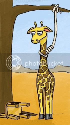 giraffe425.jpg