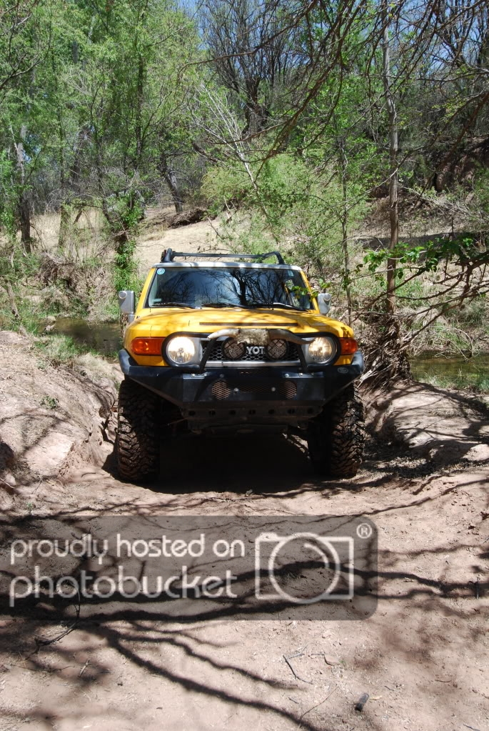 DSC_0277.jpg
