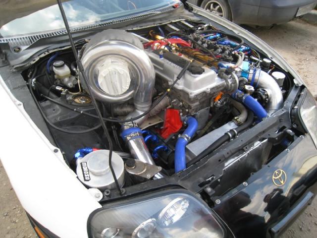 supra_2.jpg