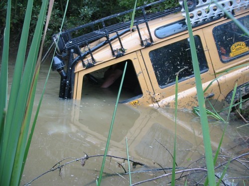 pondguysinking.jpg