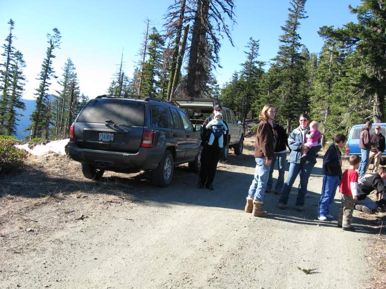 2008TreeRun02.JPG