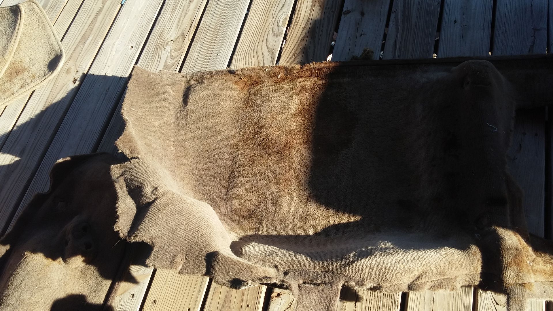 20150924_172942.jpg