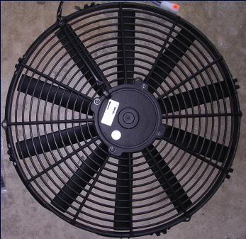 fan2.jpg