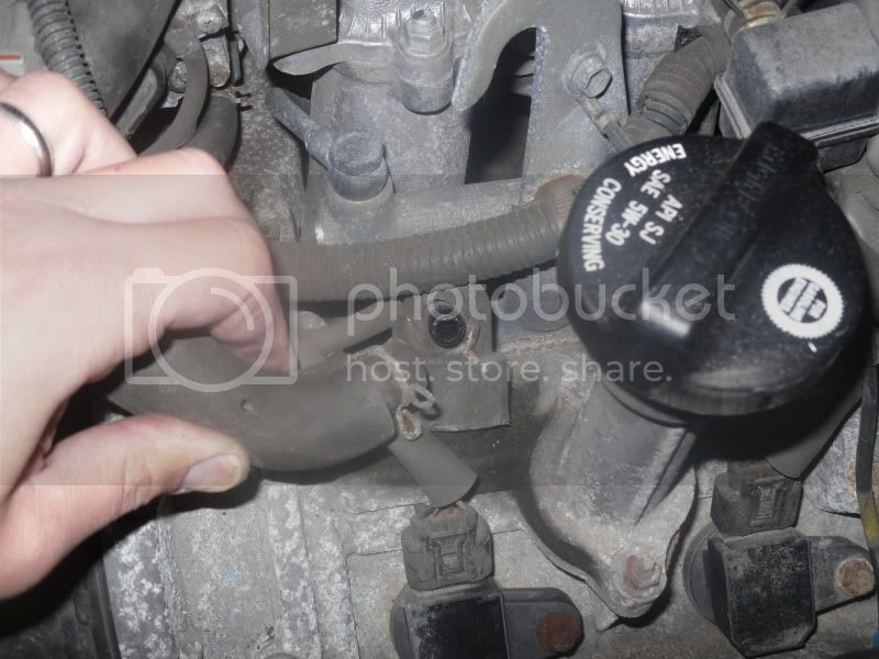 SDC10542.jpg