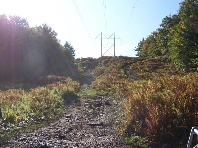 100_6651.JPG