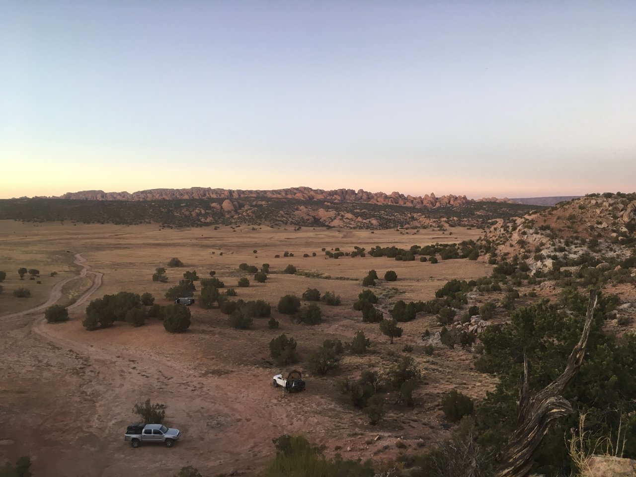 img_0463-jpg.2373006