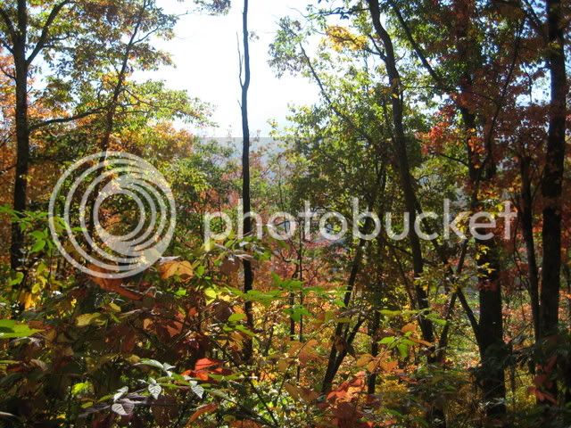 October07016.jpg