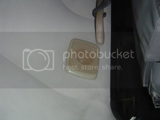 DSC07676.jpg