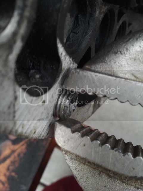 2012-11-08130132.jpg