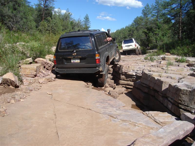 90018060-L.jpg