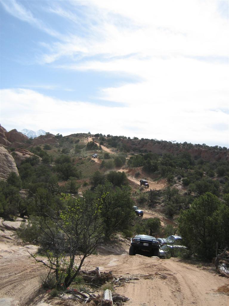 IMG_2003%20(Large).JPG